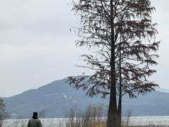 -四明湖