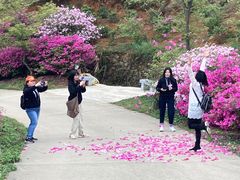 -广州市石门国家森林公园