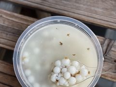 桂花酒酿圆子-潘玉麟糖粥