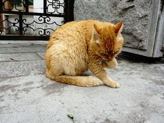 -鼓浪屿风景名胜区-英国领事馆旧址