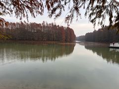 -上海海湾国家森林公园