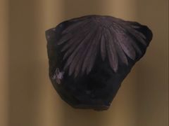 -湖南省地质博物馆