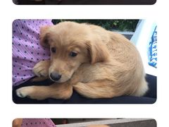 -FUTURE LOUNGE(太古里店)