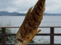 -千岛湖天屿景区