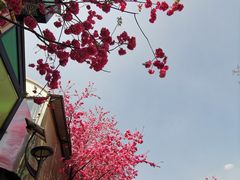 -昆明动物园