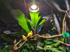 -正佳雨林生态植物园
