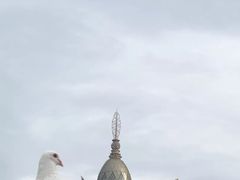 -澳门外港客运码头(轮渡站)