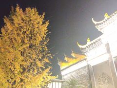 -永康小长城