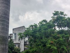 -求生煎包(武夷小区店)