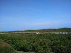 -北海金海湾红树林生态旅游区