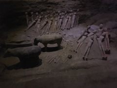 -汉景帝阳陵博物院