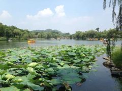 -承德避暑山庄景区