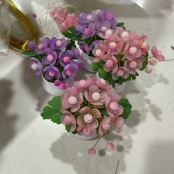 -诗安国际母婴会所 月子会所中心(市政府店)