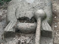 -上海佘山国家森林公园西佘山园