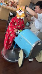 -星童star.kids儿童发型设计·满月胎发(玉兰花园店)