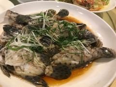 -沙田台山海鲜·酣客酒窖