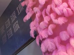 -深圳独角兽星空艺术馆