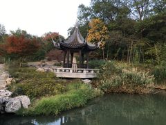 -镇江市南山风景名胜区竹林景区