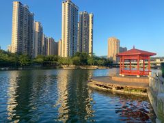 -琴亭湖公园
