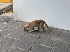 -宝通禅寺