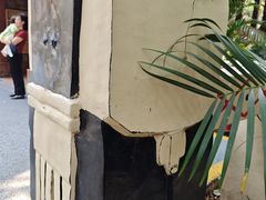 -西双版纳原始森林公园