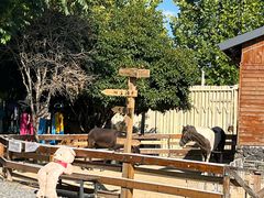 -HERRE·FARM 赫尔露营农场·团建聚会包场