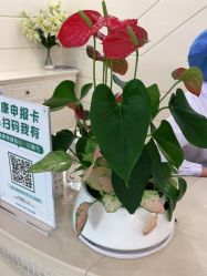 -深圳阳光医疗美容医院·旗舰店