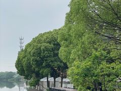 -苏州本色美术馆