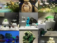 -湖南省地质博物馆
