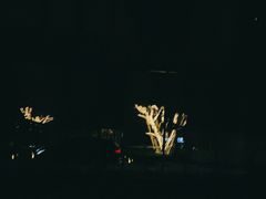 -枫花园汽车电影院(朝阳公园店)