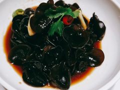 -宝燕壹号(长寿店)