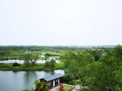 -沙美村