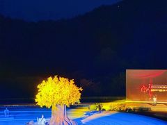 -鼎盛王朝康熙大典实景演出