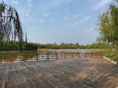 -杨柳青庄园