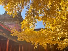-承恩寺