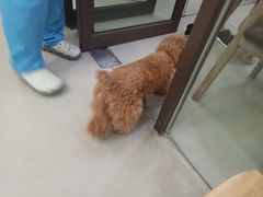 -贝利宠物医院·骨科·眼科·肿瘤转诊中心(南坪诊疗中心)