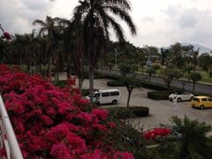 iphone_upload_pic-三亚亚龙湾金棕榈度假酒店