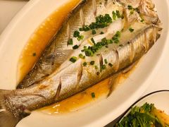 清蒸白鱼-丫丫蟹庄·苏式园林农家乐·阳澄湖大闸蟹(阳澄湖莲花岛店)