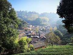 -杨家堂村