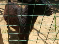 -武汉开心果园农业发展有限公司