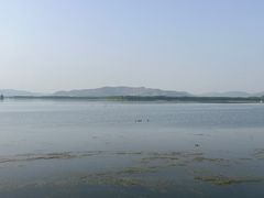 -微山湖红荷湿地景区