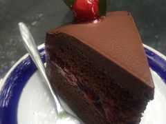 -Fern Forest Cafe