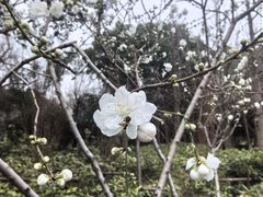 -圩墩遗址公园
