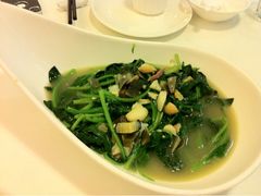 上汤菠菜-新白鹿餐厅(西湖银泰店)
