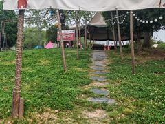 -合肥滨湖国家森林公园