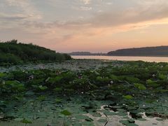 -丁香湖公园
