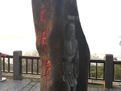 -金盆阿嬷香菇茶叶蛋(玄光店)