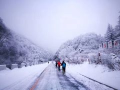 -终南山国家森林公园