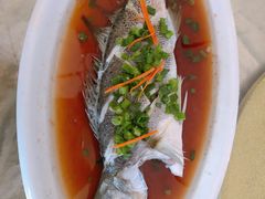 野生海掉鲈鱼-江南村海鲜馆(洞头店)