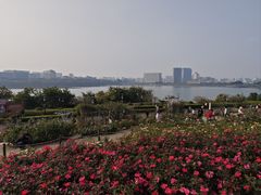 -立新湖公园